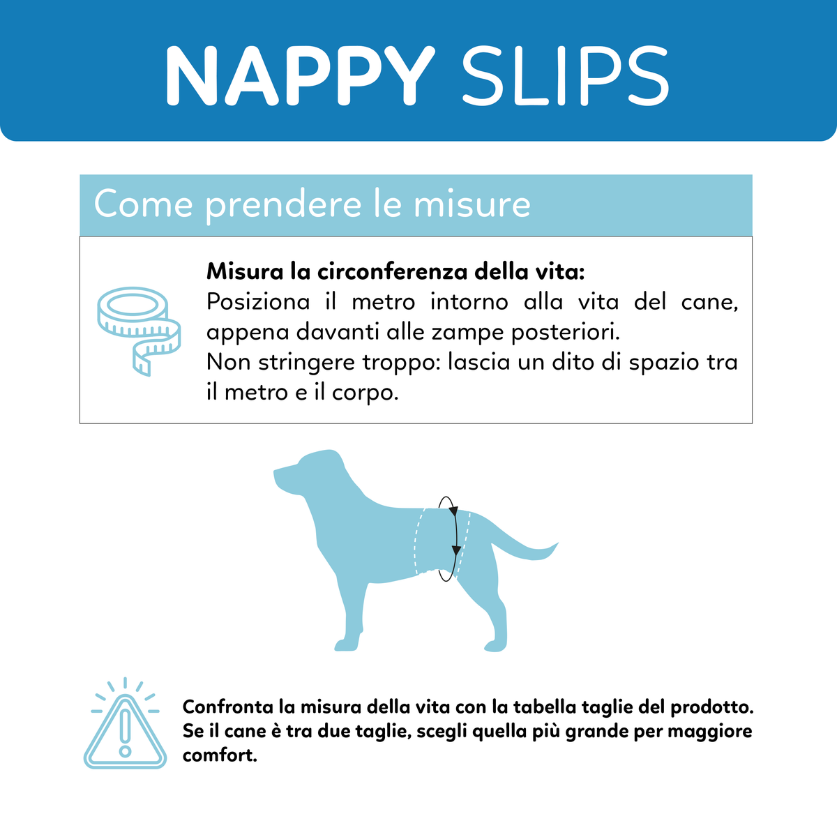 AQPET FRIENDS Nappy Slips Pannolini A Fascia Per Cani Maschi 36 Pezzi Assorbenti Igiene Quotidiana