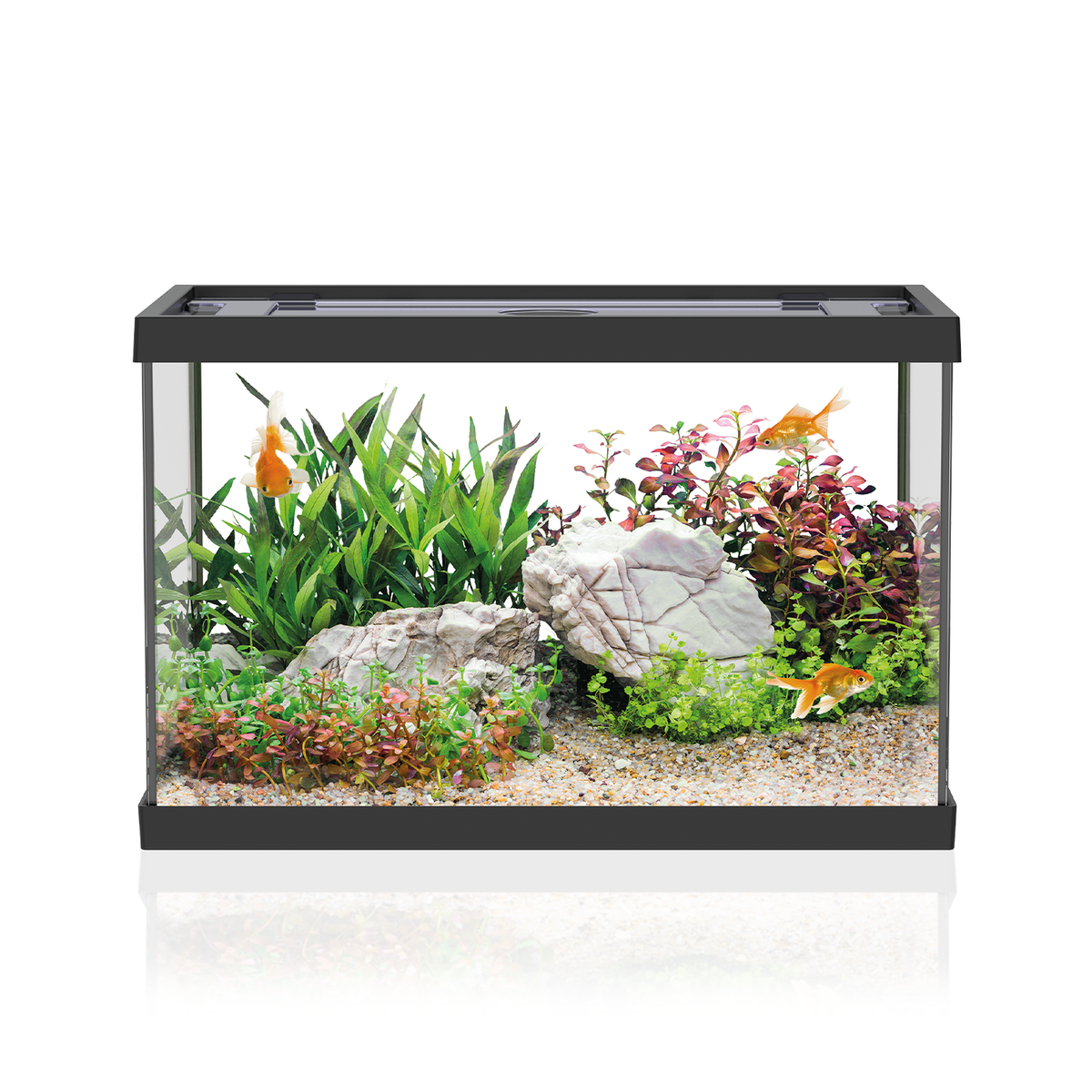 AQPET AQUARIUM ONE MINI GLASS 20 LITERS 39x22x26h BLACK