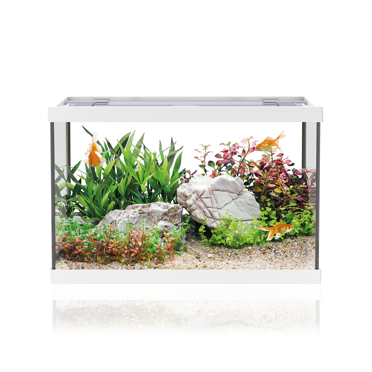 AQPET ONE MINI GLASS AQUARIUM 20 LT 36x22x26h