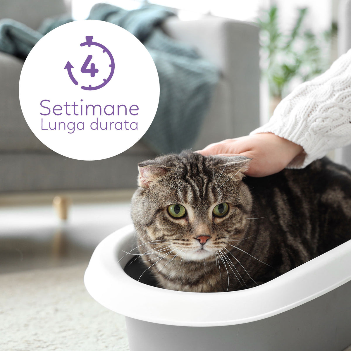 AQPET FRIENDS Lettiera In Silicio Catty Profumazione Lavanda Per Gatti Super Assorbente Antiodore Igiene Gatto