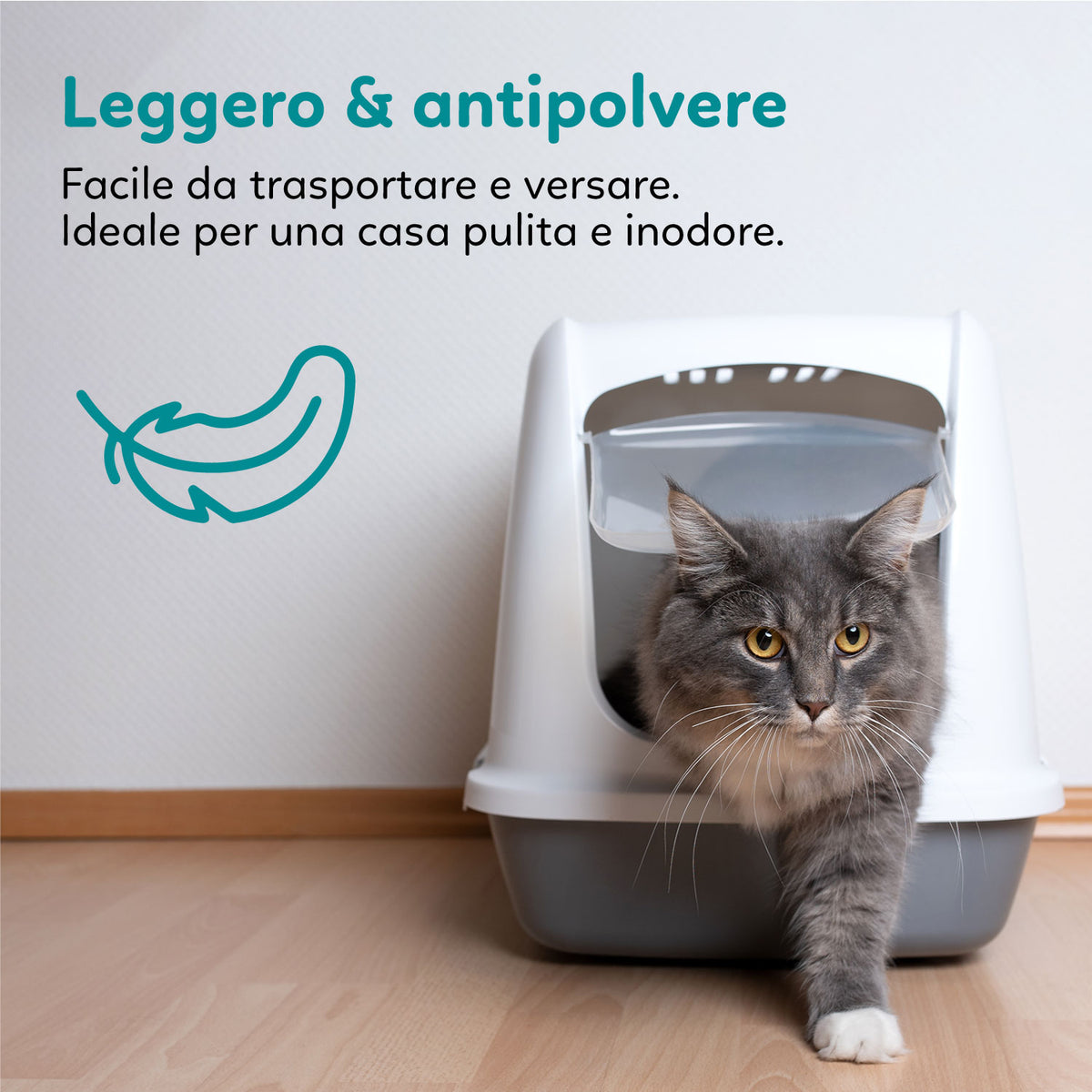 AQPET FRIENDS Catty Silica Gel Cat Litter Talcum Scent Super Absorbent Odor Control Cat Hygiene