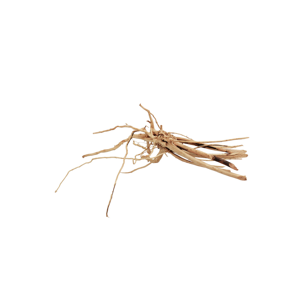 AQPET ZEN WOOD SLIM RADICE LEGNO SELECT