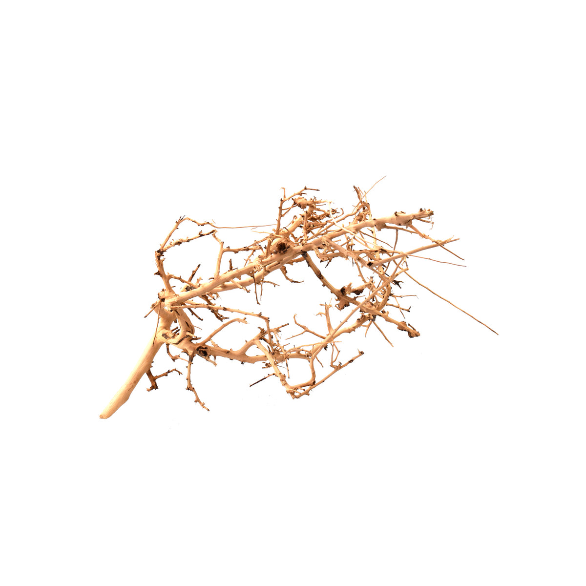 AQPET ZEN WOOD TINY ROOT WOOD