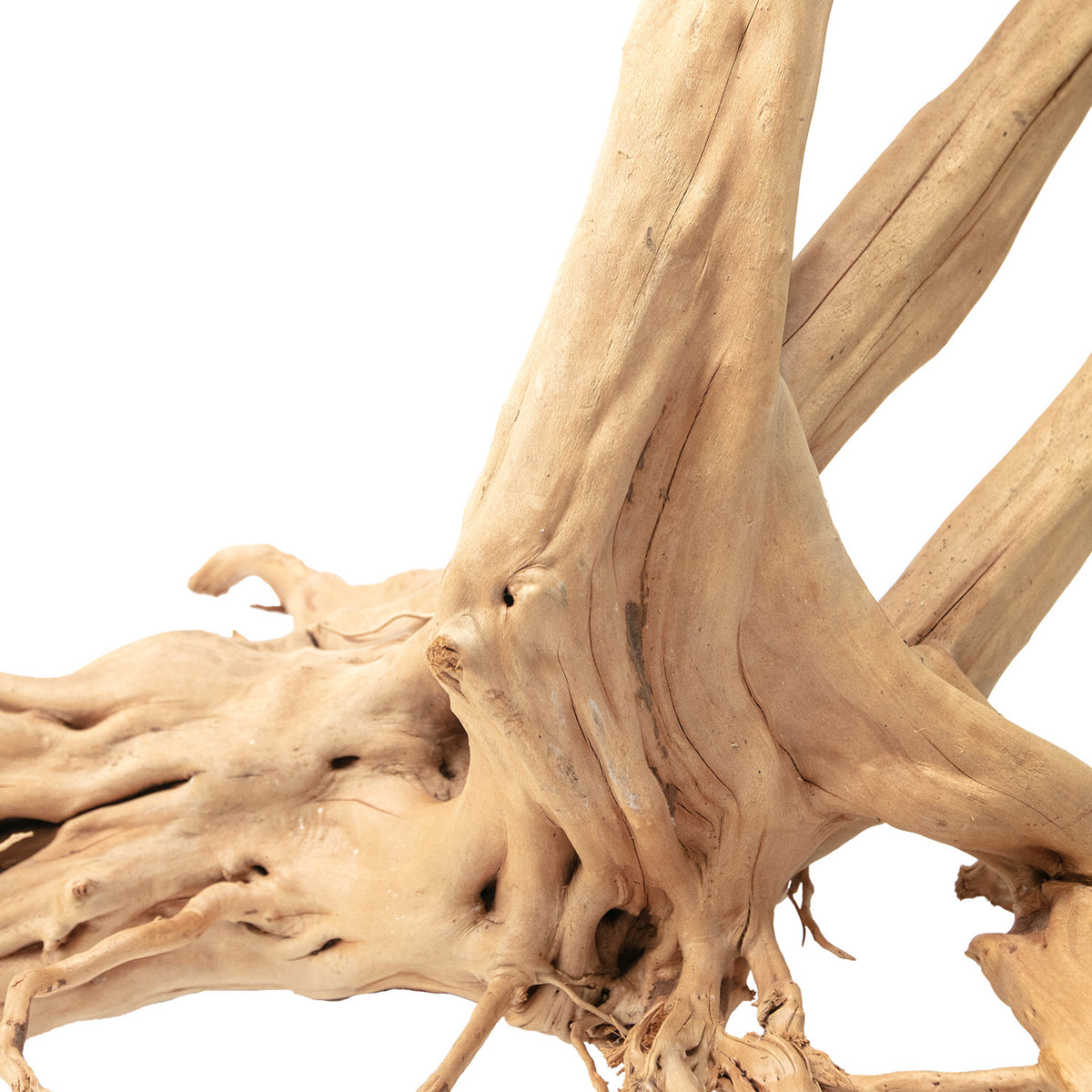 AQPET ZEN WOOD STUMP