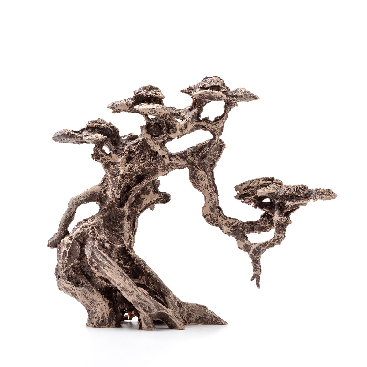 AQPET ZEN BONSAI IN RESINA 1