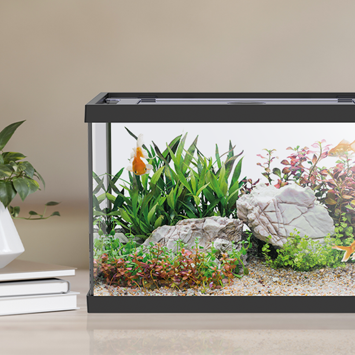 AQPET AQUARIUM ONE MINI GLASS 20 LITERS 39x22x26h BLACK