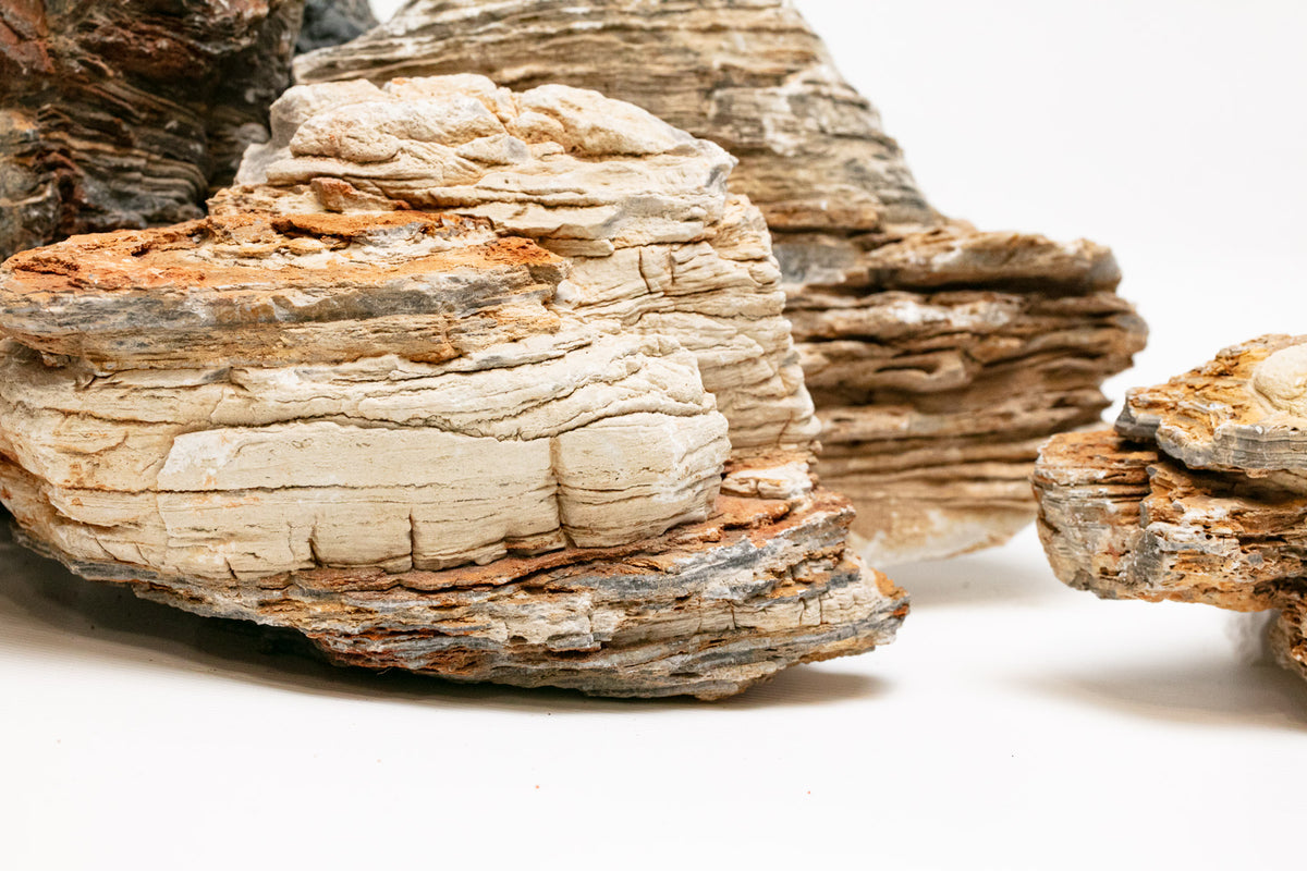 AQPET ZEN STONE ROCCE CANYON (CONF.20KG MIXED) 300GR /3 KG