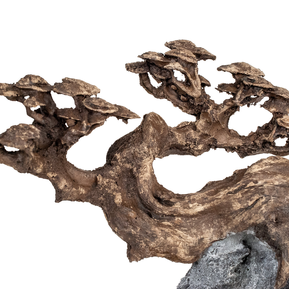 AQPET ZEN BONSAI IN RESINA 10