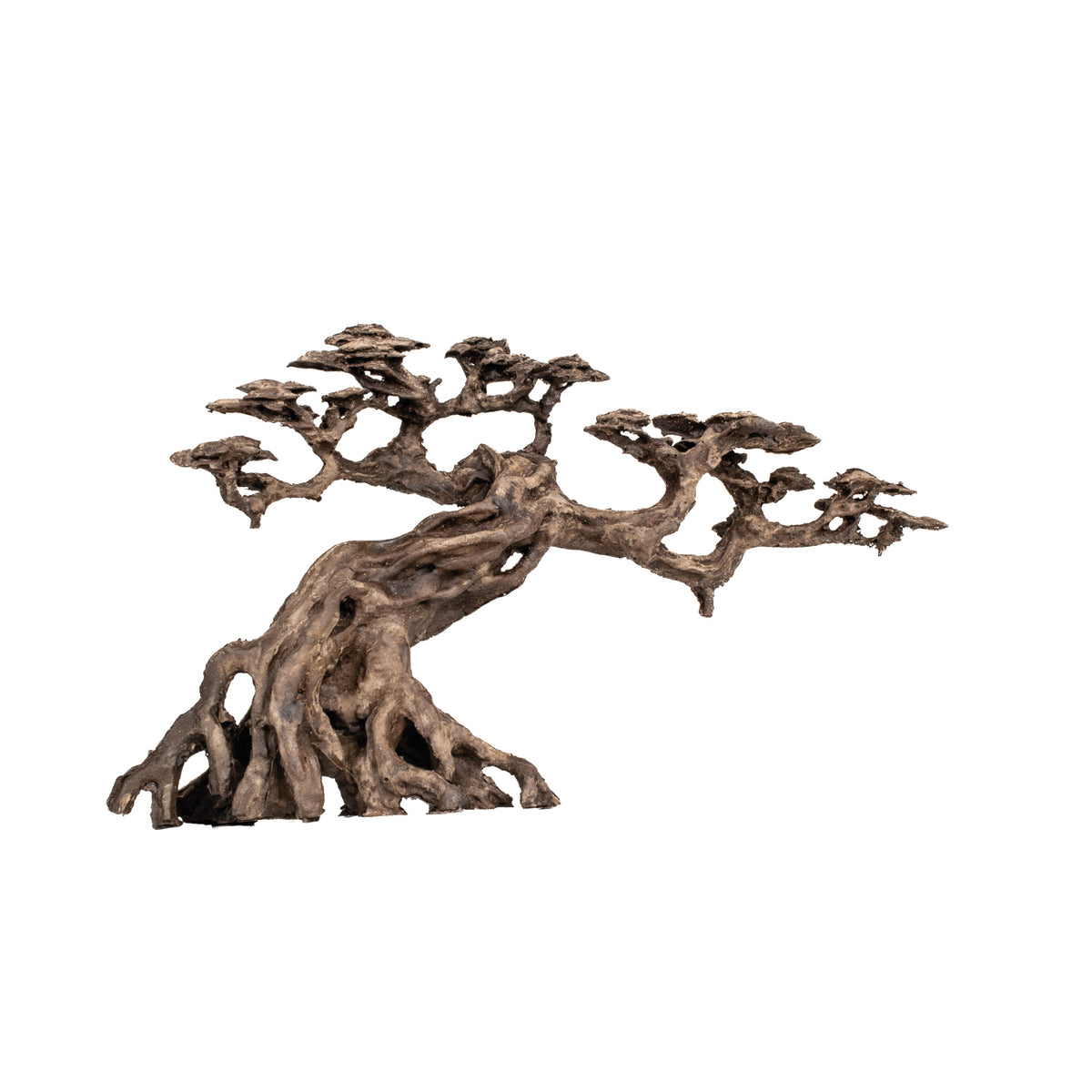 AQPET ZEN BONSAI IN RESINA 13