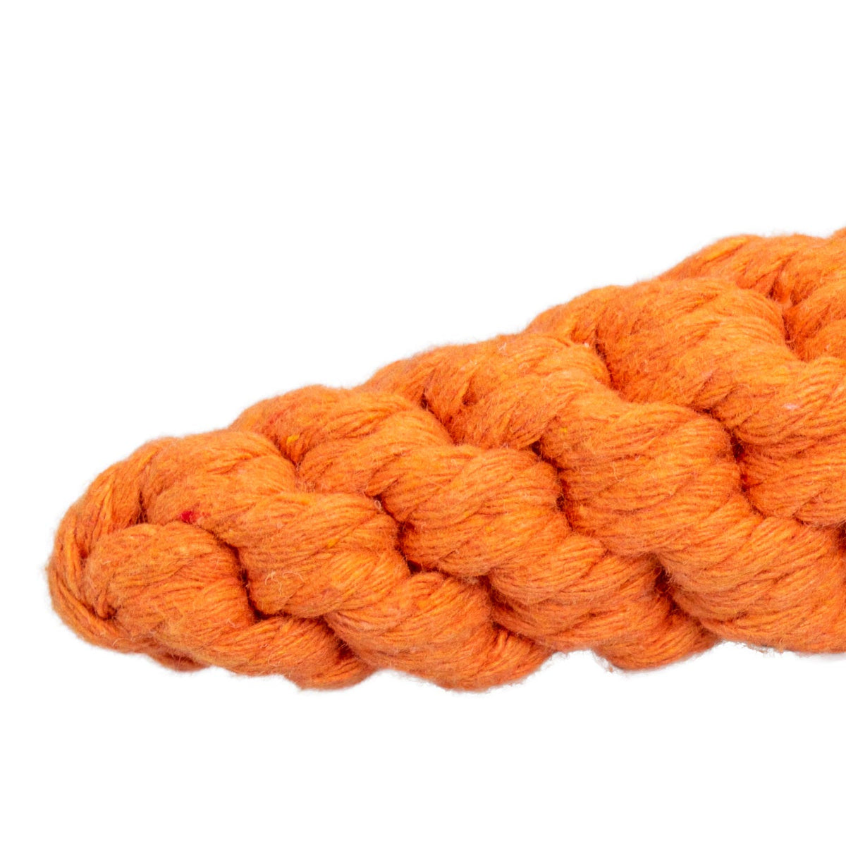 AQPET FRIENDS AQPET Giochi Per Cane Rope Carota Di Corda In Cotone 21 X 4CM Gioco Per Cani Divertimento Pet