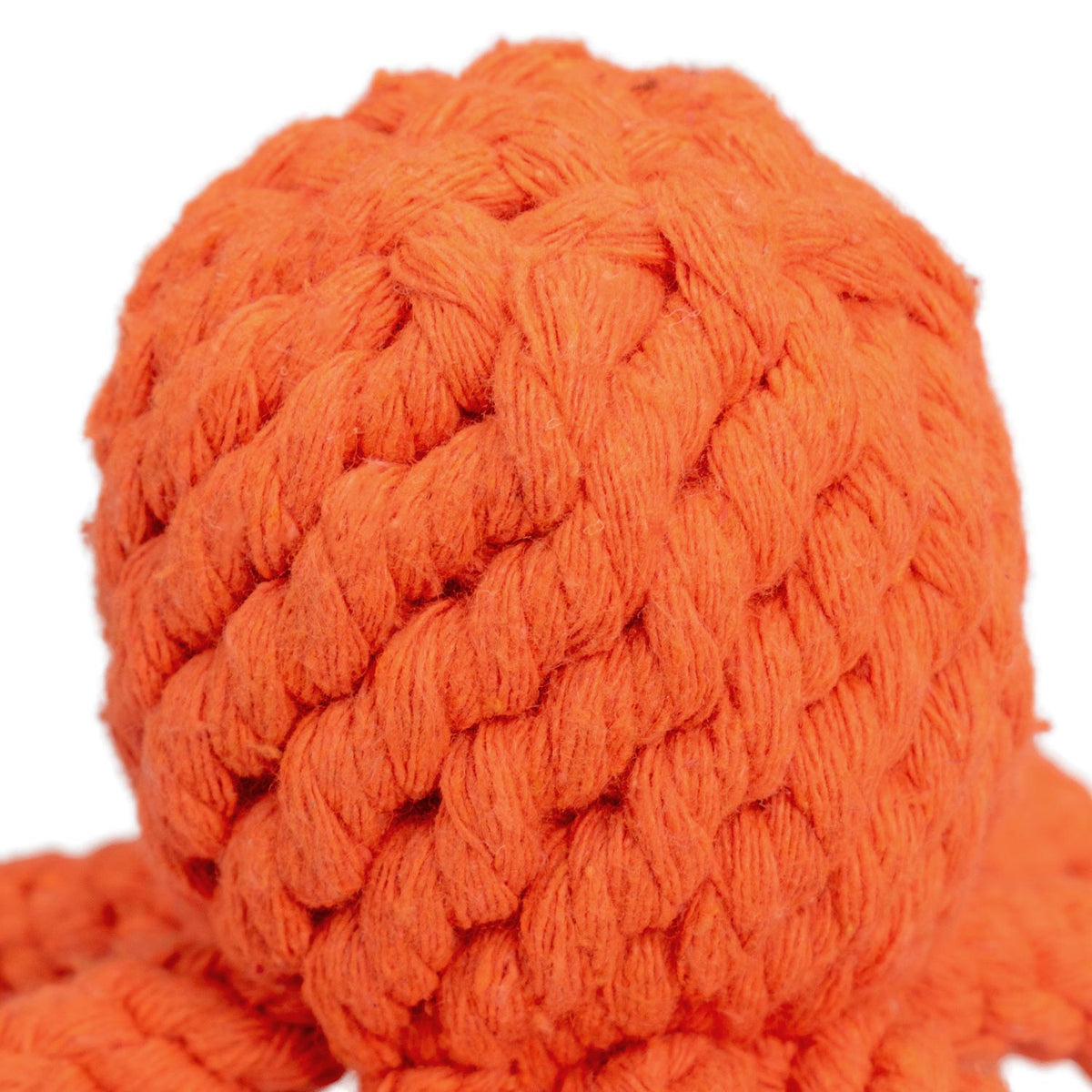 AQPET FRIENDS AQPET Giochi Per Cane Rope Polipo Di Corda In Cotone 10X6.5CM Gioco Per Cani Divertimento Pet