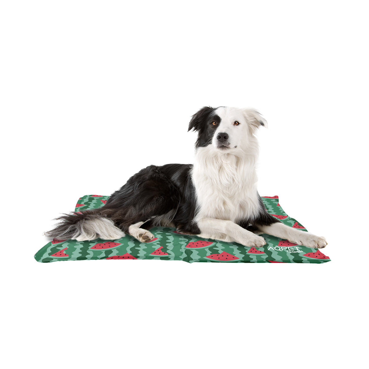 AQPET FRIENDS Tappetino Refrigerante Rinfrescante per Cane Gatto Animali, Gel non Tossico, Fantasia Fruit