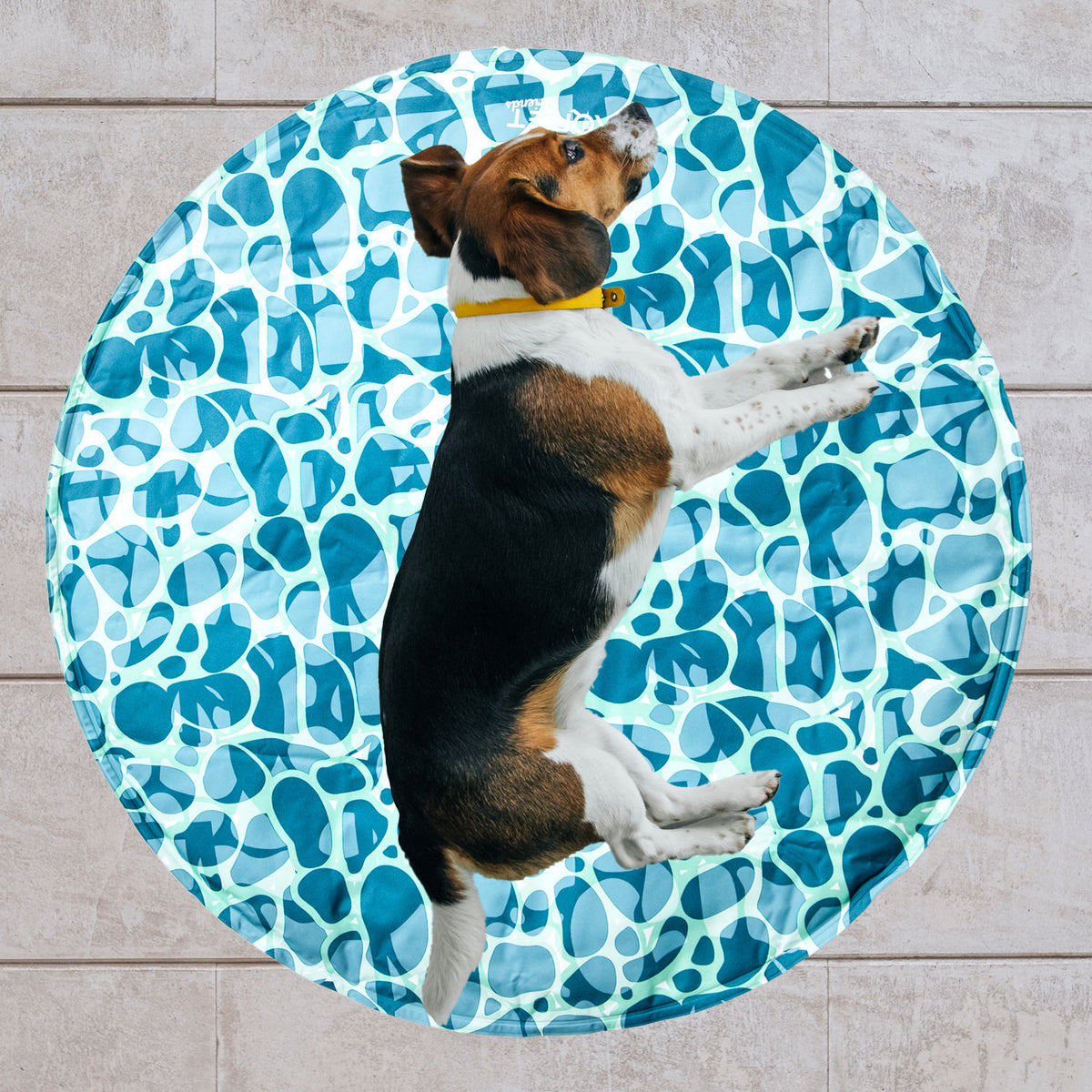 AQPET FRIENDS Tappetino Refrigerante Rinfrescante per cane forma Tonda, Gel non Tossico, sistema di Auto Raffreddamento, Fantasia Sea, Misura Diametro 60 Cm