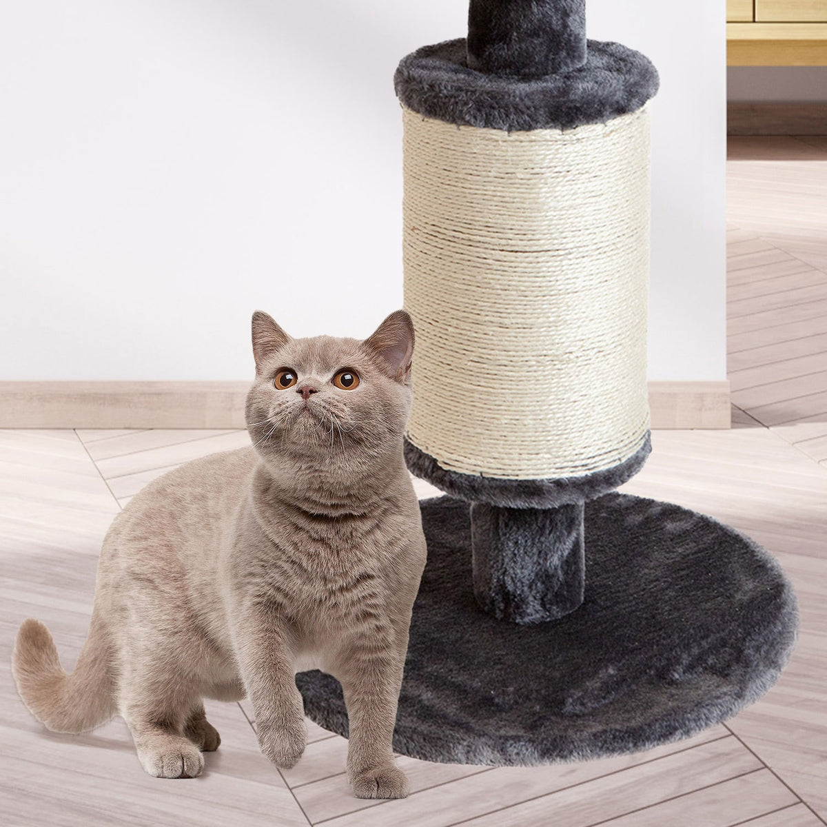 AQPET FRIENDS Tiragraffi in Sisal e tessuto con piattaforma, Alto 58 cm per il massimo divertimento del tuo gatto, Colore Grigio