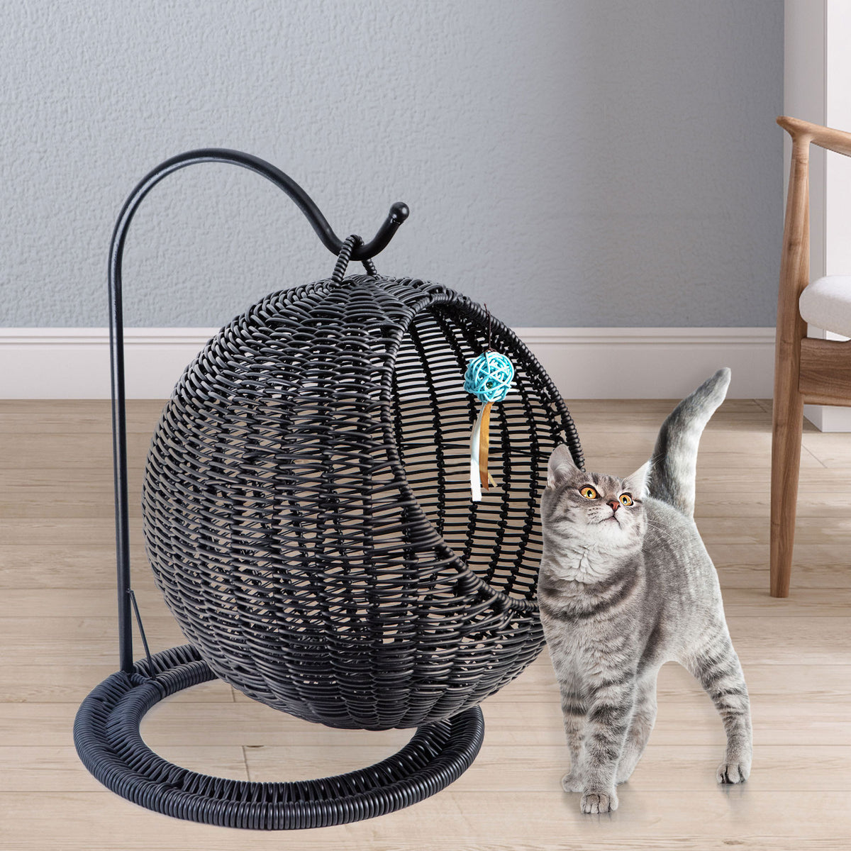 AQPET FRIENDS Morfeo Cuccia sospesa per Gatti Gattini in Vimini intrecciato a Mano con Cuscino Mordbido Incluso, Colore Nero, 46x62 cm
