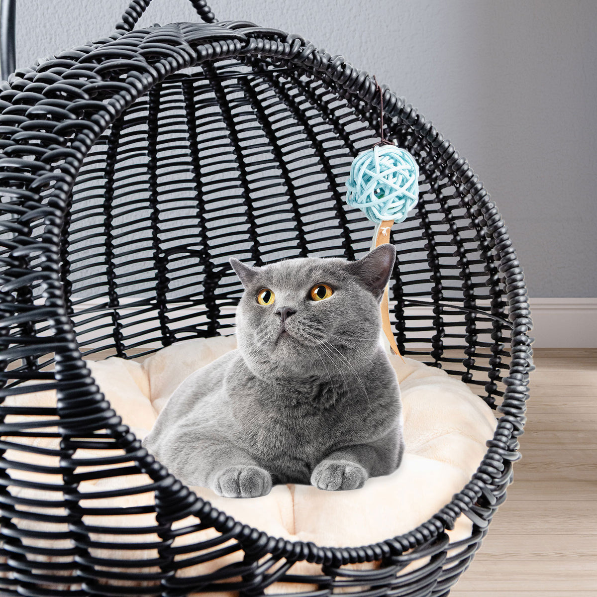 AQPET FRIENDS Morfeo Cuccia sospesa per Gatti Gattini in Vimini intrecciato a Mano con Cuscino Mordbido Incluso, Colore Nero, 46x62 cm