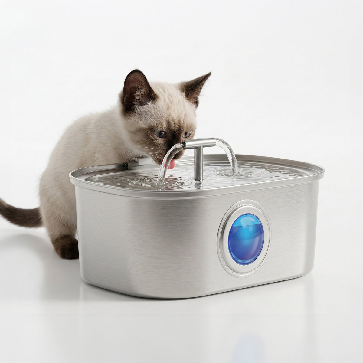 AQPET FRIENDS 3.2L Stainless Steel Cat Water Fountain – Ultra-Quiet Automatic Water Dispenser with Multi-Layer Filter – Cat and Dog Fountain, Always Clean Water