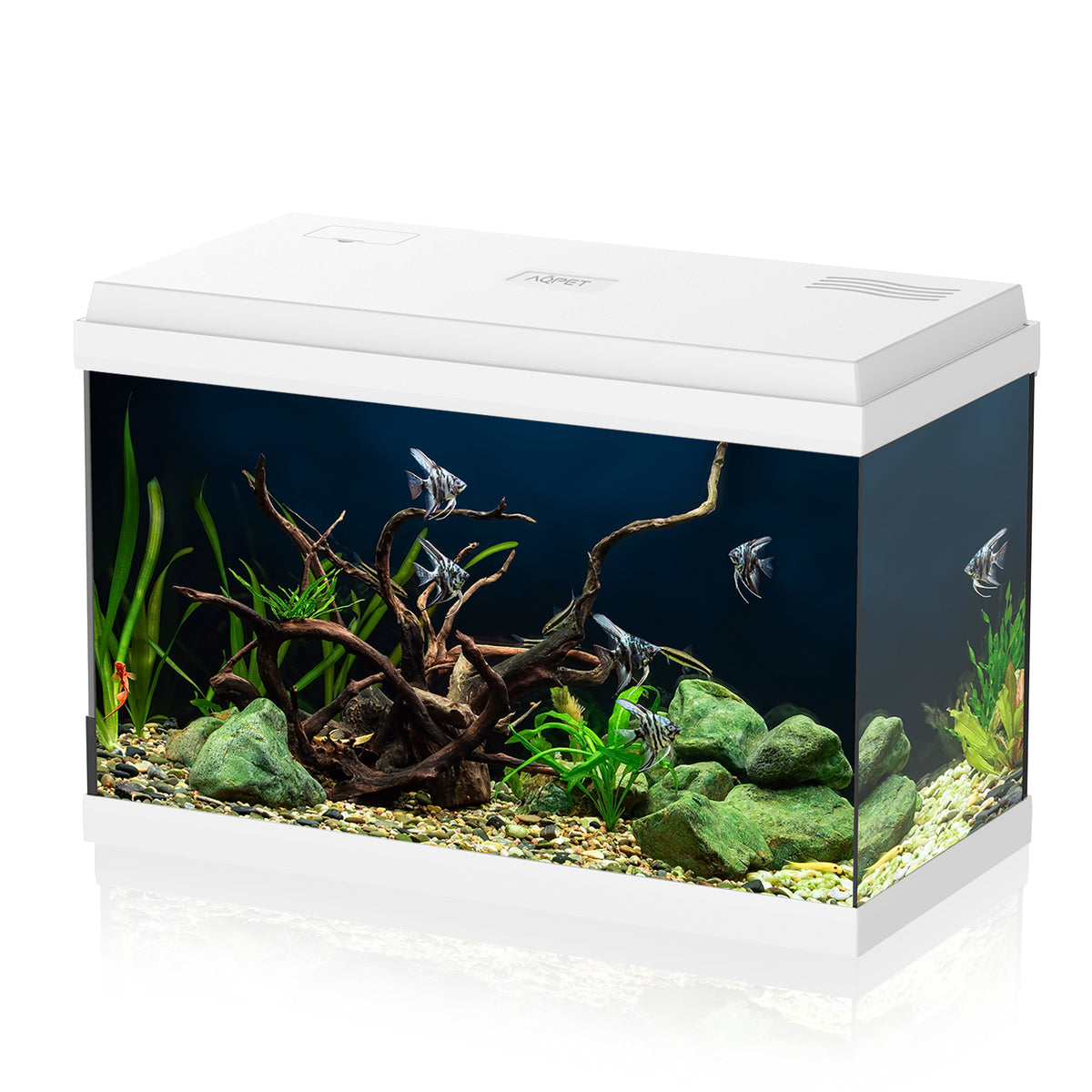 AQPET ACQUARIO SIMPLY LED 60 BIANCO COMPLETO LUCE FILTRO E RISCALDATORE - 59X30X39 H CM