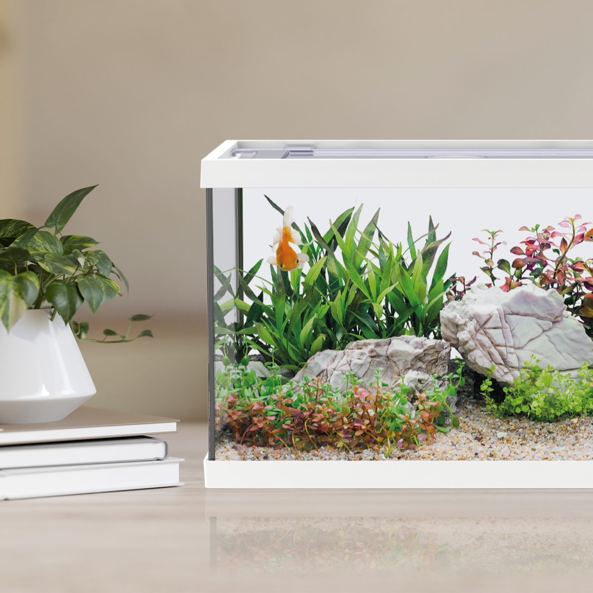 AQPET ONE MINI GLASS AQUARIUM 20 LT 36x22x26h