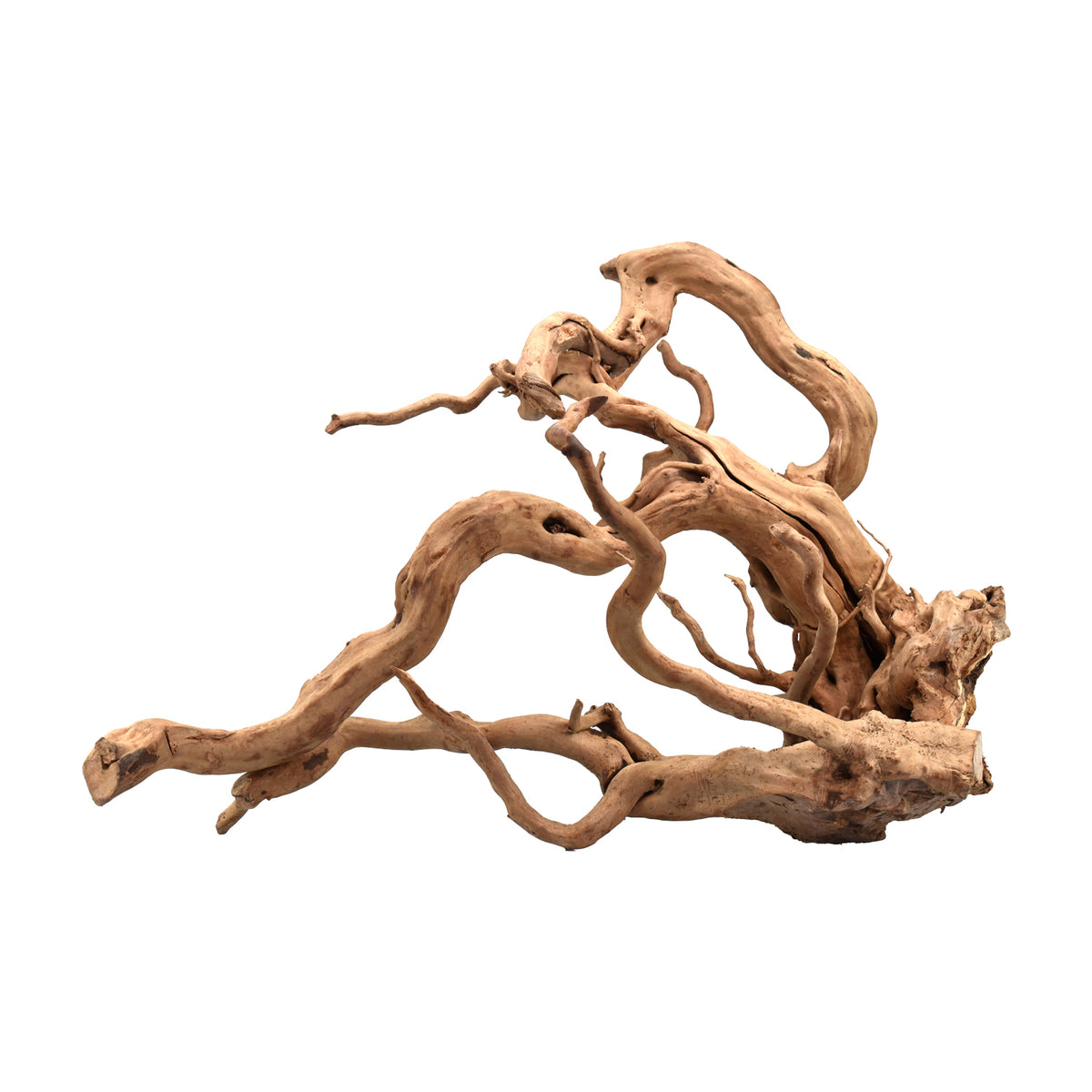 AQPET ZEN WOOD ROOT RADICE LEGNO SELECT