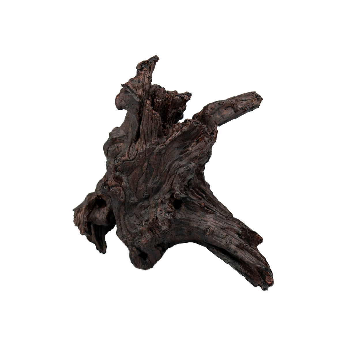 AQPET DECORART DECORI PER ACQUARI MOD. BLACK ROOTS 18*17*10