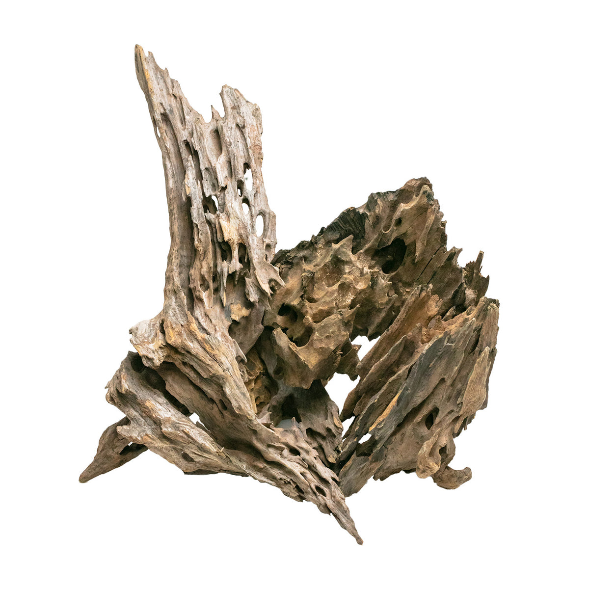 AQ PET ZEN WOOD DRAGON WOOD