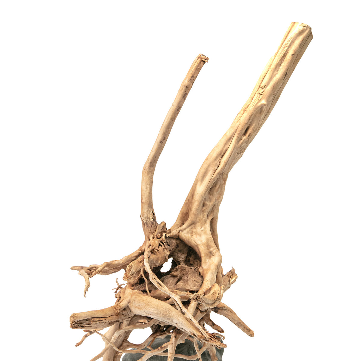 AQPET ZEN WOOD STUMP