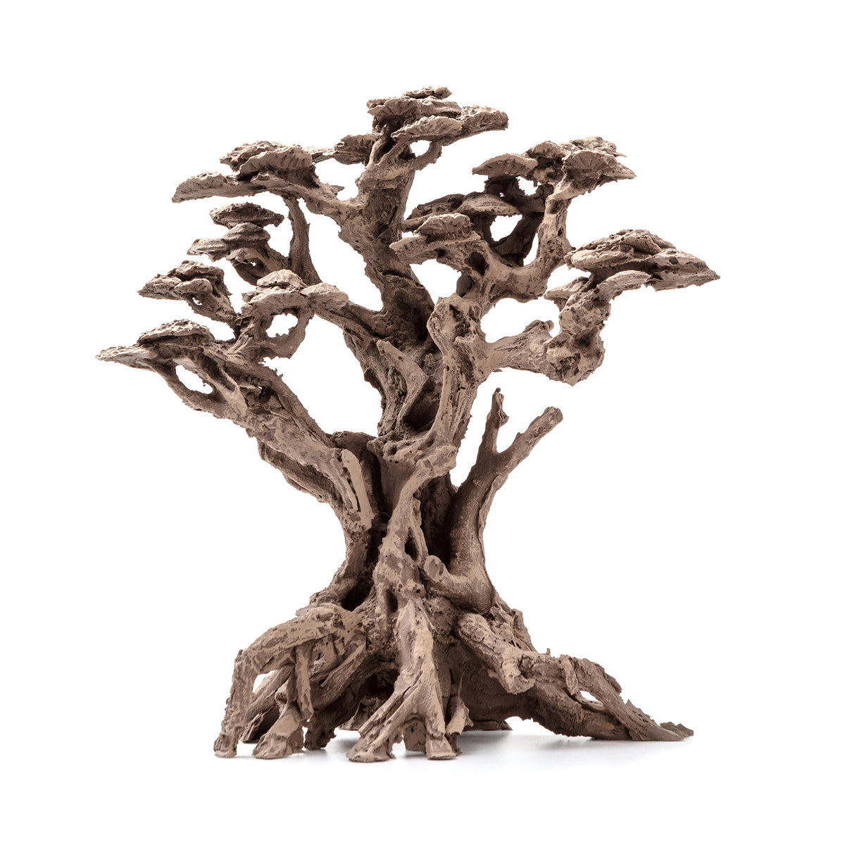 AQPET ZEN BONSAI IN RESINA 6