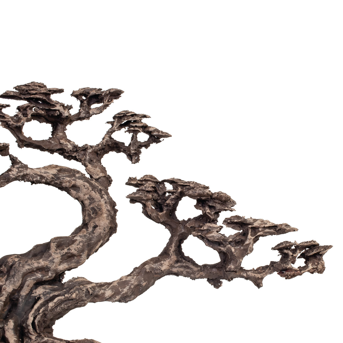 AQPET ZEN BONSAI IN RESINA 18