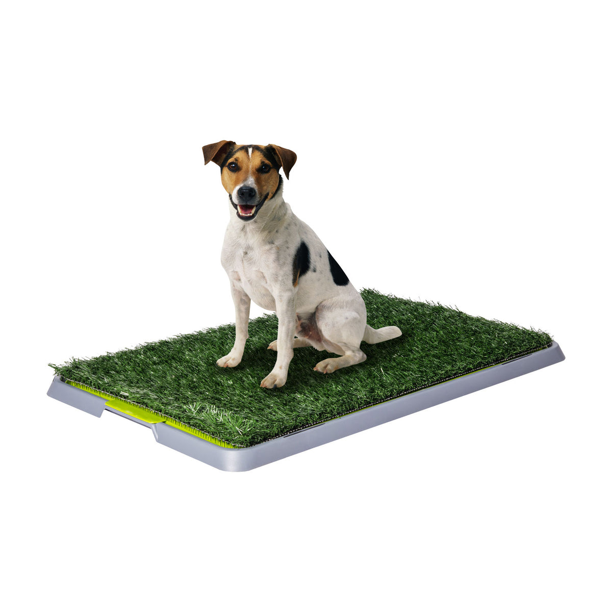 AQPET FRIENDS DogLitter Litter Tray with Artificial Grass for Puppies 67x42x5 cm