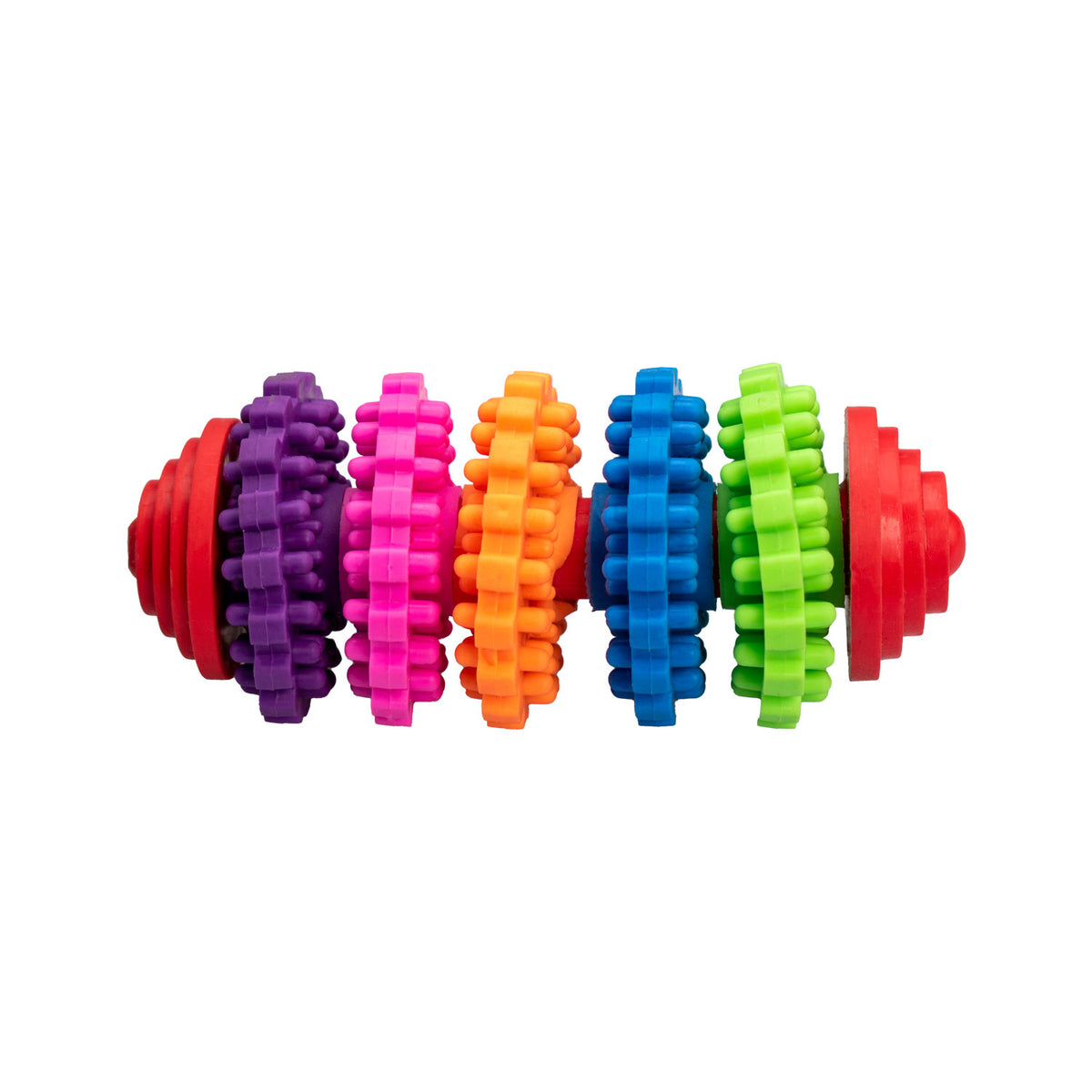 AQPET FRIENDS AQPET Giochi Per Cane Dental Cilindro Colorato Di Gomma Gioco Per Cani Divertimento Pet