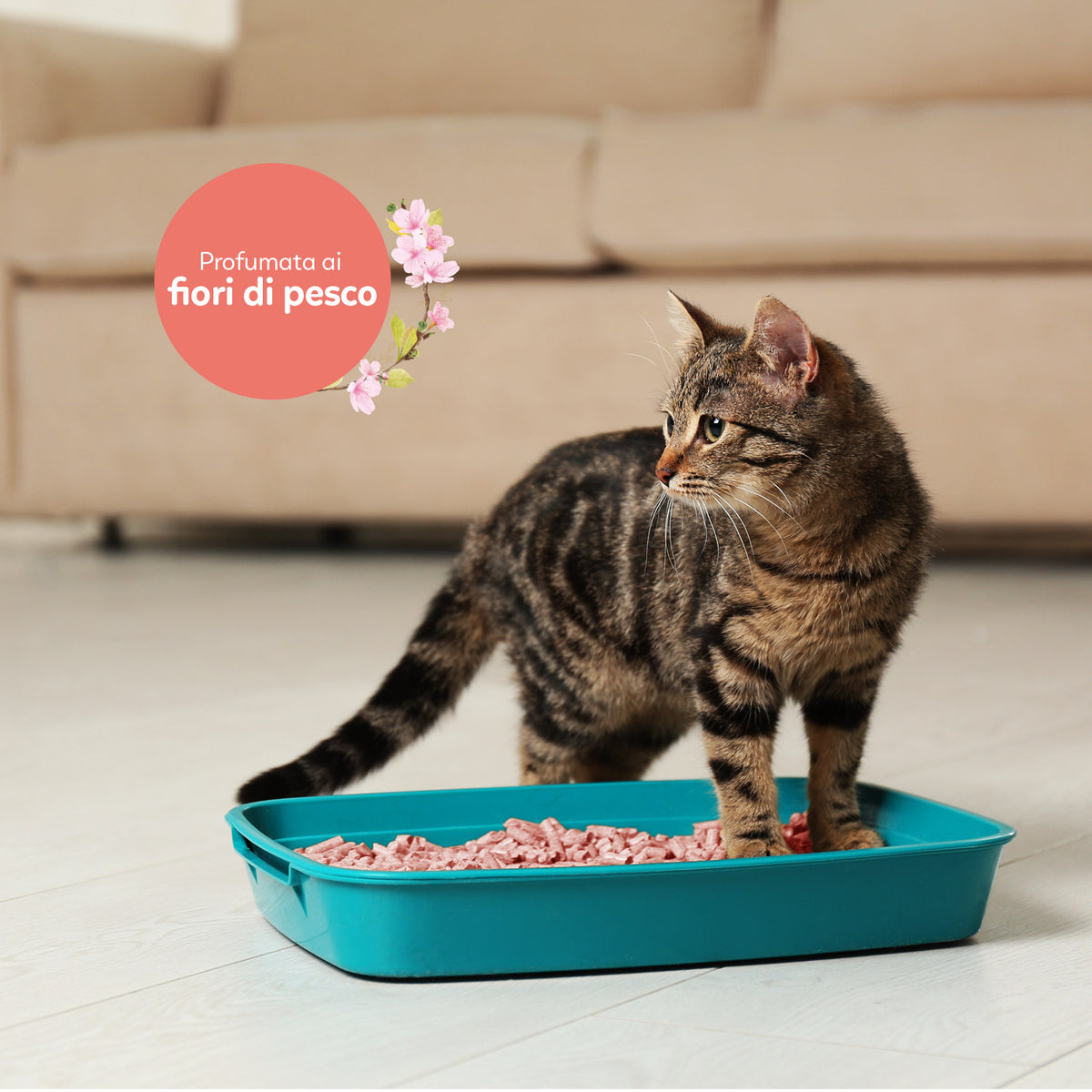 AQPET FRIENDS Catty Green Lettiera Alla Soia Profumazione Fiori Di Pesco 6LT Per Gatti Super Assorbente Antiodore Igiene Gatto