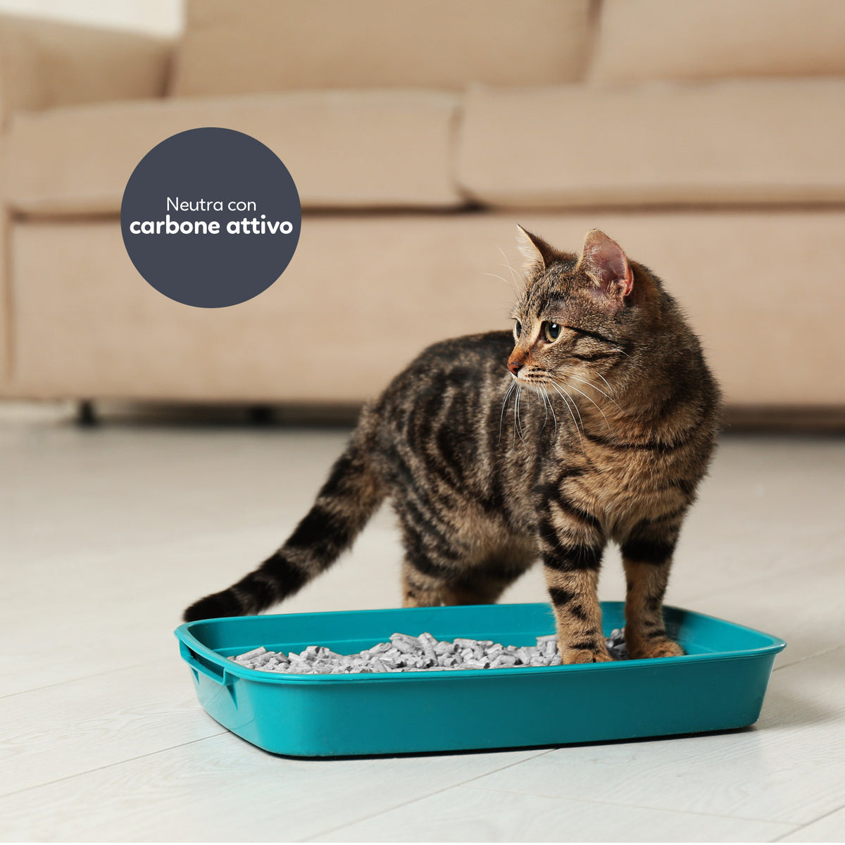AQPET FRIENDS Catty Green Lettiera Alla Soia Profumazione Carbone Attivo 6LT Per Gatti Super Assorbente Antiodore Igiene Gatto