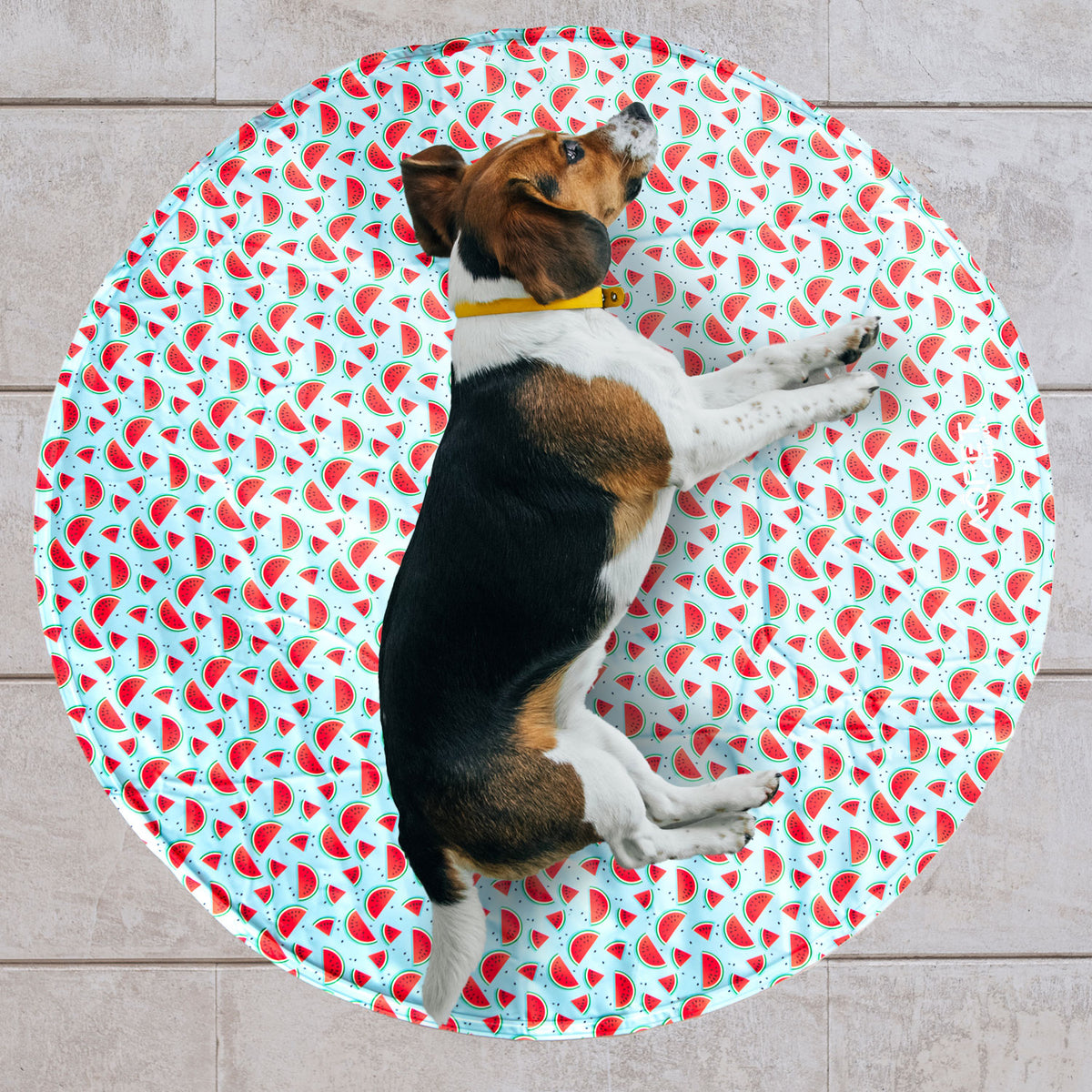 AQPET FRIENDS Tappetino Refrigerante Rinfrescante per cane forma Tonda, Gel non Tossico, sistema di Auto Raffreddamento, Fantasia Fruit, Misura Diametro 60 Cm