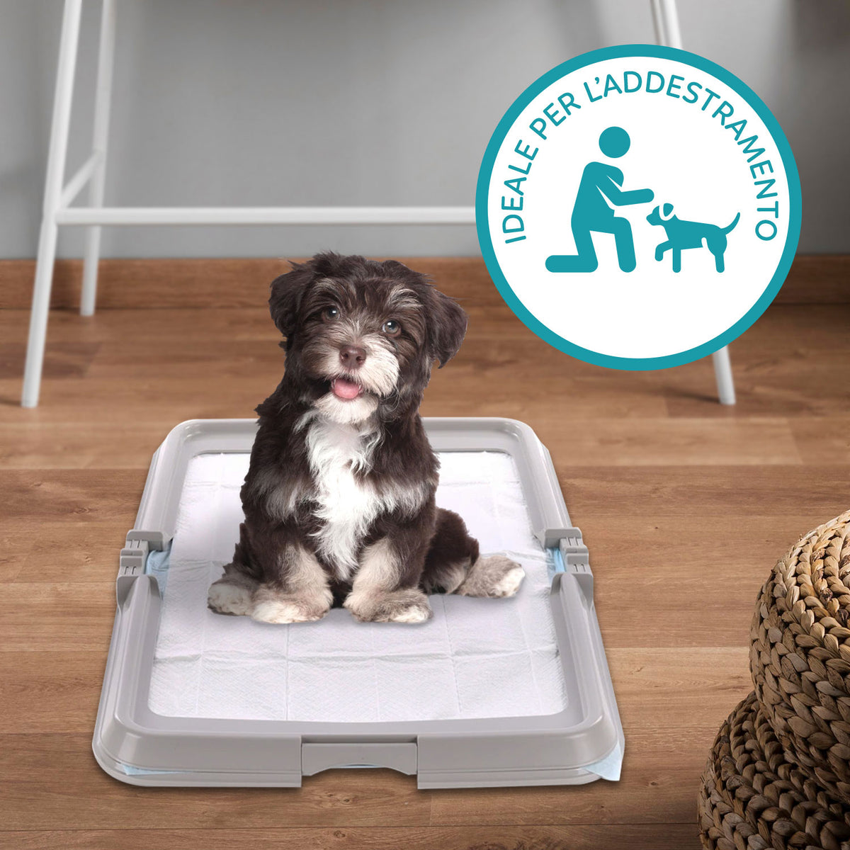 AQPET FRIENDS Dog Litter Box, Foldable Toilet 86x62 cm, Absorbent Mat Tray, Ideal for Puppy Training and Home Use
