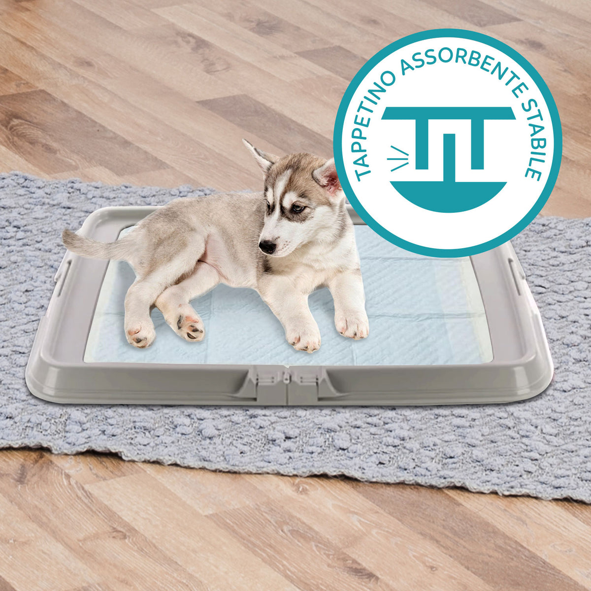 AQPET FRIENDS Dog Litter Box, Foldable Toilet 86x62 cm, Absorbent Mat Tray, Ideal for Puppy Training and Home Use