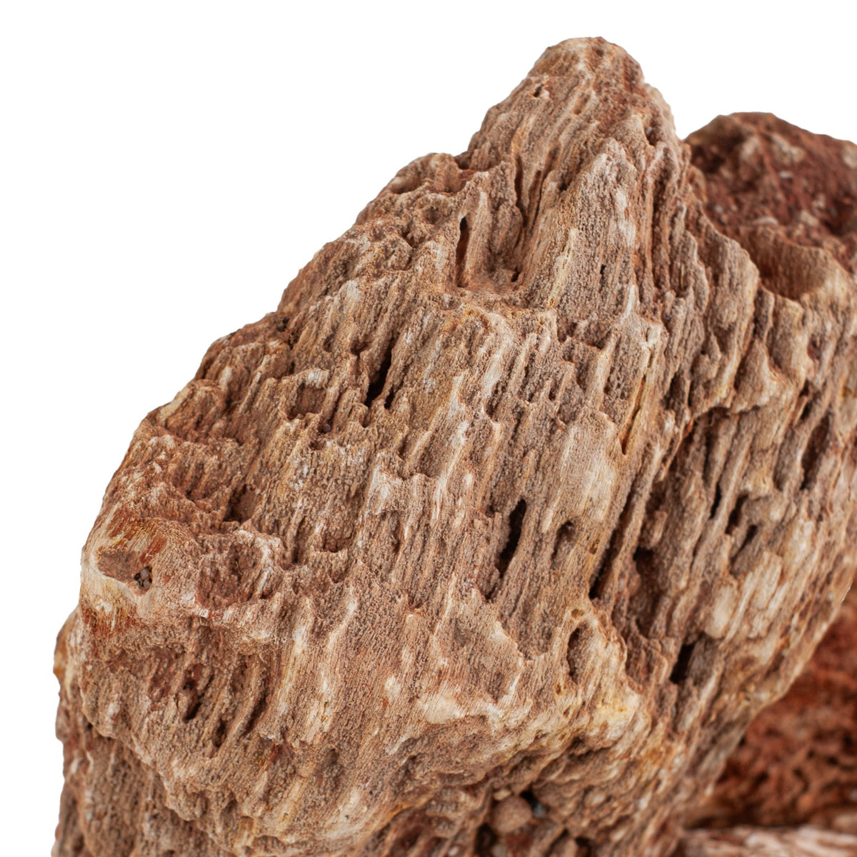 AQPET ZEN STONE ROCCE RED WOOD FOSSIL (CONF. 20KG MIXED)