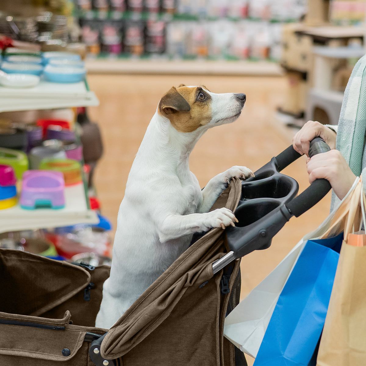 AQPET FRIENDS Passeggino Comodo E Pratico Per Cani Taglia Media / Piccola Per Cani E Gatti Viaggio Sicuro