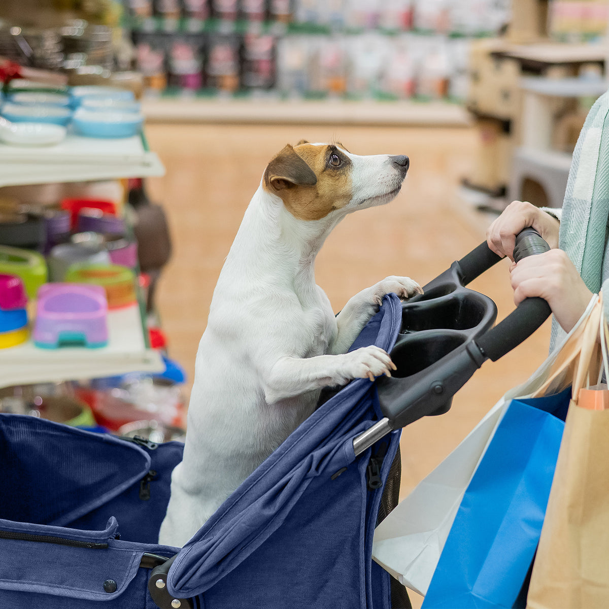 AQPET FRIENDS Passeggino Comodo E Pratico Per Cani Taglia Media / Piccola Per Cani E Gatti Viaggio Sicuro