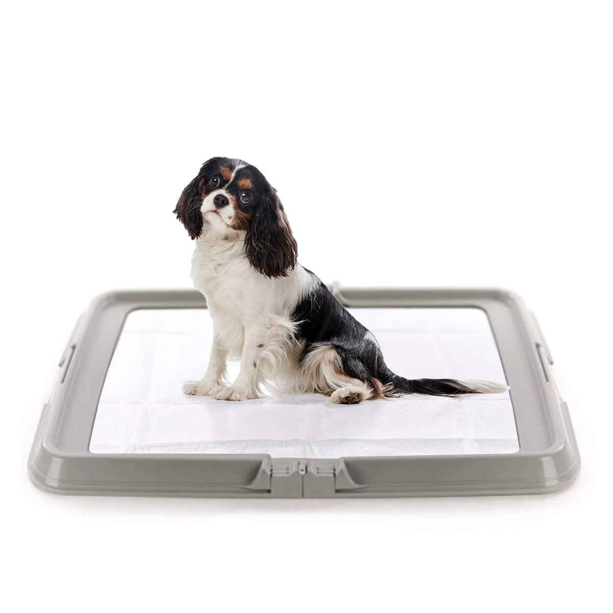 AQPET FRIENDS Dog Litter Box, Foldable Toilet 86x62 cm, Absorbent Mat Tray, Ideal for Puppy Training and Home Use