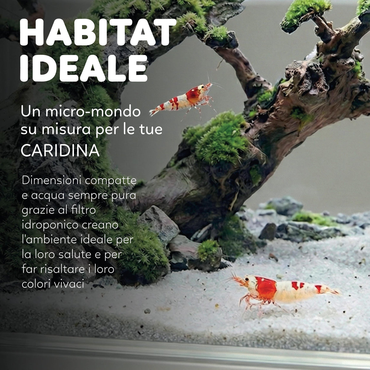 AQPET HYDO ACQUARIO DA SCRIVANIA DOCK STATION