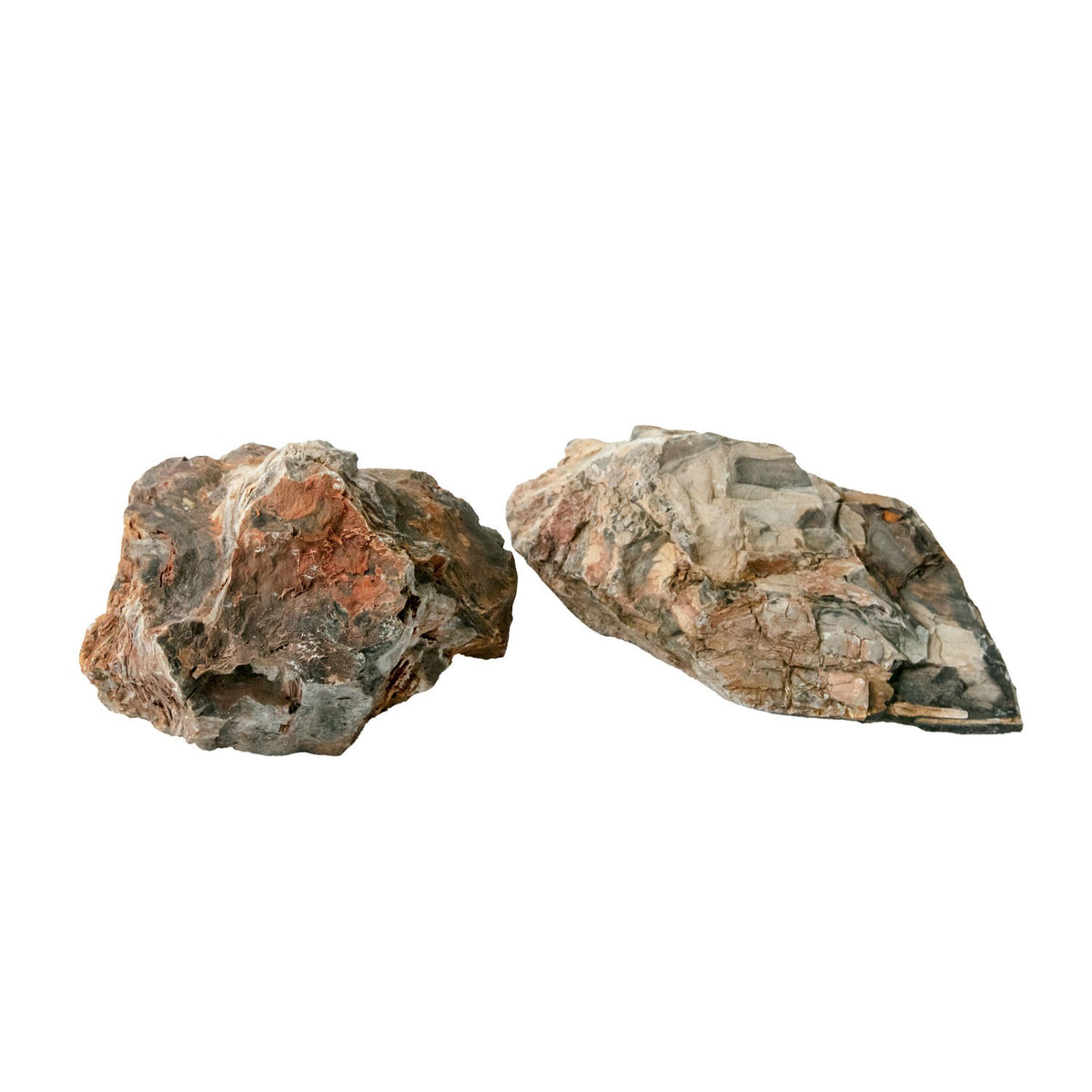 AQPET ZEN STONE ROCCE WOOD FOSSIL (CONF.20KG MIXED) 300GR /3 KG