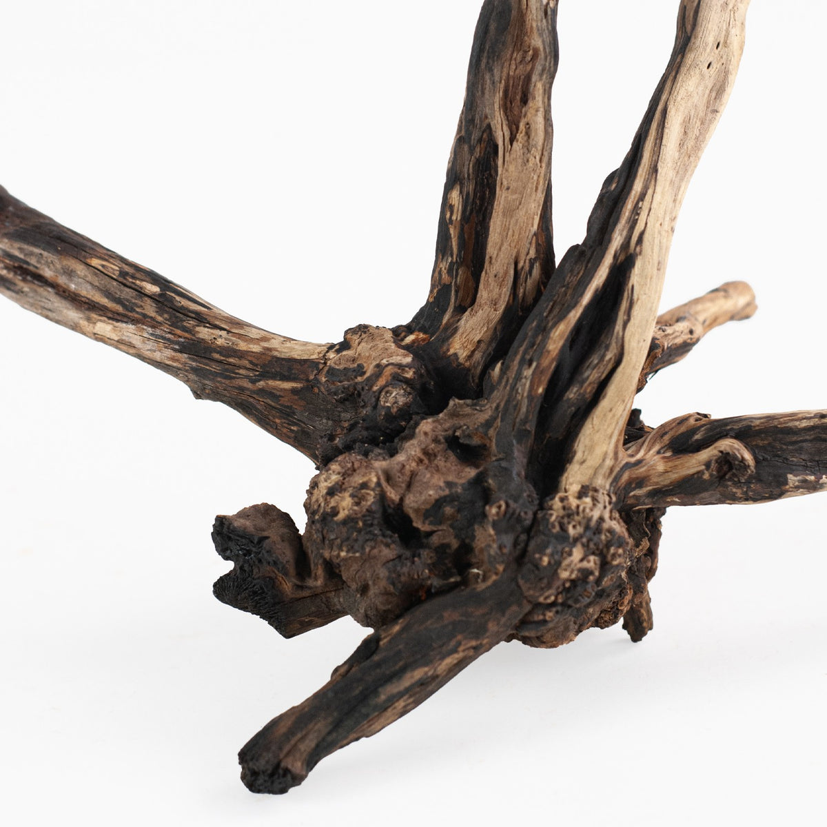 AQPET ZEN WOOD BLACK SLIM